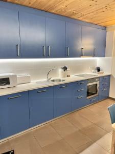 eine Küche mit blauen Schränken und einem Waschbecken in der Unterkunft Can Bernades in Puigcerdà