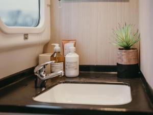 a bathroom sink with two bottles of soap and a plant at Waterfront Houseboat in Cape Town
