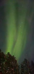 una imagen de la aurora boreal en el cielo en Lakeside wilderness cabin en Jokkmokk