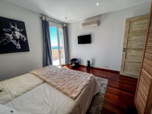 a bedroom with a bed and a television and a window at Cactus - Villa avec piscine, vue sublime, Salle de jeux - by TGB in Rayol-Canadel-sur-Mer