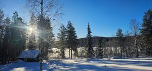un campo cubierto de nieve con árboles y el sol brillando en Lakeside wilderness cabin en Jokkmokk