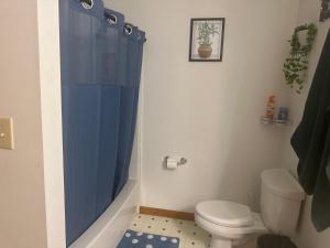 uma casa de banho com uma cortina de chuveiro azul e um WC. em Dover Tower em Dover