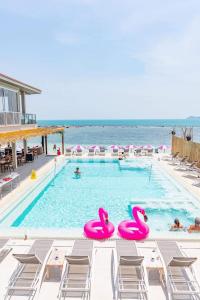 a swimming pool with pink flamingos in the water at LOVE beach club Koh Samui in Chaweng