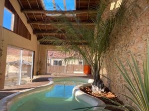 an indoor pool with a palm tree in a building at Domaine de Servières - le Studio in Le Caylar