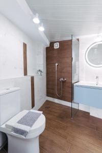 y baño con ducha, aseo y lavamanos. en Elia House 3 near Nafpaktos, en Lóngos