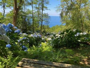 a garden with blue and white flowers and a bench at Apartamentos Mar y Mar Agroturismo in San Sebastián