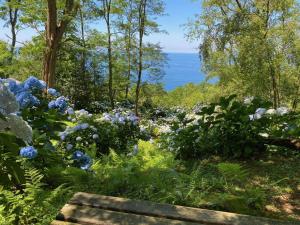 a garden with blue and white flowers and a bench at Apartamentos Mar y Mar Agroturismo in Donostia-San Sebastián