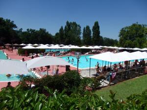 Bazén v ubytování Camping Village la Chiocciola nebo v jeho okolí