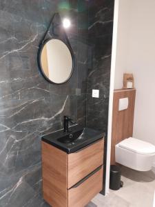 uma casa de banho com um lavatório preto e um espelho em Studio tout confort à 500 m de la mer em Bretignolles-sur-Mer