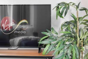 a tv sitting on a table next to a plant at 4 Bed House Near Trent Bridge in Nottingham