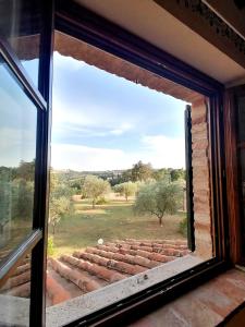 une fenêtre avec vue sur un champ dans l'établissement Agriturismo Carpineto, à Asciano