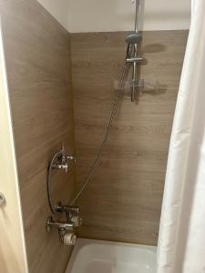 a shower in a bathroom with a bath tub at Seeblick 212 in Hahnenklee-Bockswiese