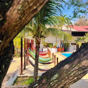 a group of lounge chairs next to a palm tree at CasaBosque in Tarapoto