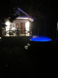 a blue frisbee in front of a house at night at Līdumnieki in Vērgale