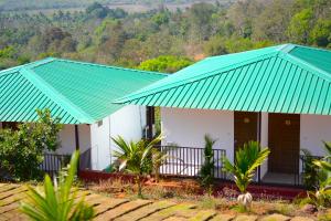 a house with two green roofs at Cashew leaf resort in Arambol