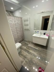 ein Badezimmer mit einem Waschbecken, einem WC und einem Spiegel in der Unterkunft Tbilisi garden in Tbilisi City
