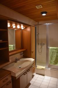 a bathroom with a sink and a shower at Fewo Adams in Hohenleimbach
