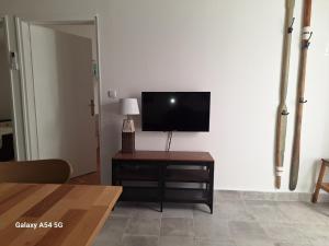 TV a/nebo společenská místnost v ubytování Apartman matusan palit55