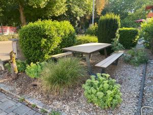 una mesa de picnic de madera y un banco en un jardín en Ferienwohnung Todzi, en Dudenhofen