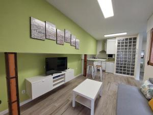 a living room with green walls and a tv and a table at ToledoAloja - Estudio en Toledo in Toledo