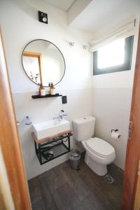 a bathroom with a white toilet and a mirror at Güer Aike Mejor Tiny house c/ vista al Fitz Roy in El Chalten