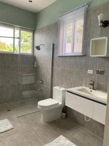 uma casa de banho com um WC, um lavatório e um chuveiro em Crystal Resort em St Mary