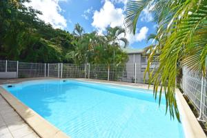 una piscina azul con una valla y una palmera en Freda, en Marigot