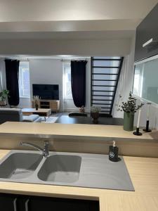 uma cozinha com um lavatório e uma sala de estar em L'appart Saint-Laurent em Chalon-sur-Saône