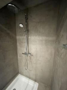 uma casa de banho com uma cabeça de chuveiro em L'appart Saint-Laurent em Chalon-sur-Saône