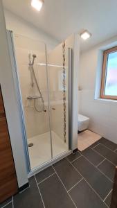 a shower with a glass door in a bathroom at Apartment Niesenpoint in Albersdorf