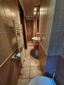 een badkamer met een toilet en een wastafel bij La Loggetta in Valentano