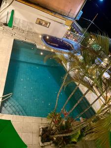 an overhead view of a swimming pool with a palm tree at Hotel Sabana in Flores