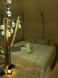 a bed in a tent with a light and lights at ESPACIO AMAITÀ in Villa Carlos Paz