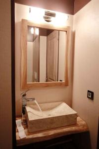 a bathroom with a sink and a mirror at Cerza Safari Lodge in Hermival-les-Vaux