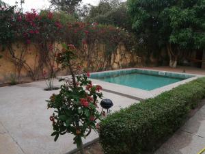 Ouoran的住宿－Chez Sandrine，花园内的一个游泳池,花园内种有鲜花,设有围栏