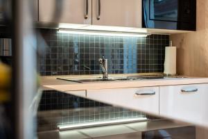 a kitchen with a sink and a mirror at Fischerhaus 309 in Rechlin +22 photos