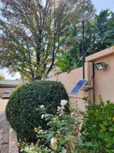 ヨハネスブルグにあるCozy Apartment with private Gardenの光の建物の隣の大緑の茂み