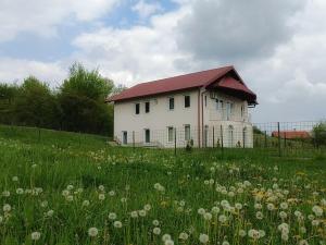 uma casa numa colina com um campo de flores em Villa Meadow em Kobiljača