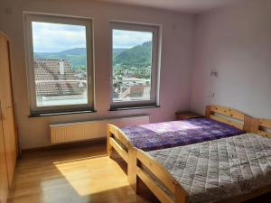 ein Schlafzimmer mit einem Bett und zwei großen Fenstern in der Unterkunft Ferienwohnung mit Neckarblick in Eberbach