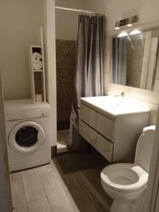 bagno con servizi igienici, lavandino e lavatrice di Jolie T2 - très grande terrasse a Thonon-les-Bains