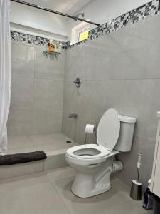a bathroom with a toilet and a shower at Tropical Apartments Tobago in Bethel