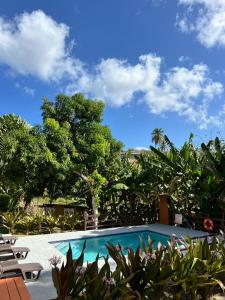 una piscina con sillas y árboles en un patio en Tropical Apartments Tobago en Bethel