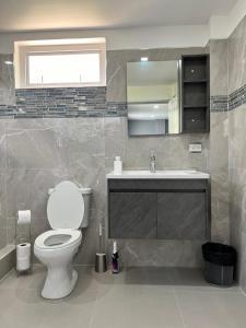 a bathroom with a toilet and a sink and a mirror at Tropical Apartments Tobago in Bethel