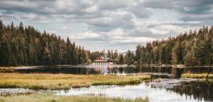 a house on a lake in the middle of a forest at Ferienwohnung am Seebach´l in Bayerisch Eisenstein