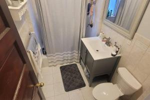 ein Bad mit einem WC, einem Waschbecken und einer Dusche in der Unterkunft Modern Haven ,Your Stylish Retreat in Boston