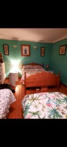 1 Schlafzimmer mit 2 Betten und einer grünen Wand in der Unterkunft Stay With Jack in Limerick