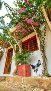 a house with pink flowers on the side of it at Posada Gallinas in Palomino