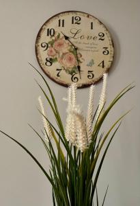 une horloge suspendue sur un mur à côté d'une plante dans l'établissement Sunny apartment 1, à Serres