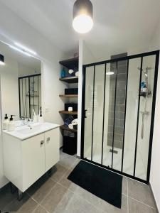 bagno con lavandino bianco e doccia di Chambre privative et confortable ad Angers