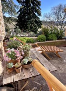 - une table de pique-nique en bois avec des plantes en pot dans l'établissement Chez Fanny, à Bédoin